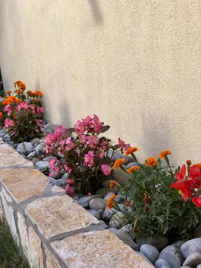 Vila Razic Danilovgrad Exteriör bild